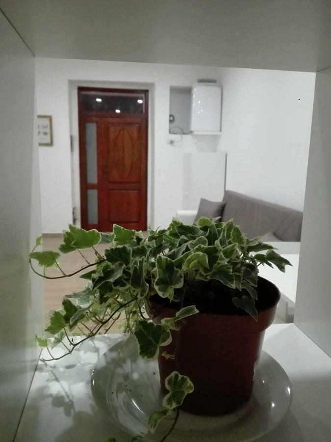 דירות Al Centro Di קליארי מראה חיצוני תמונה
